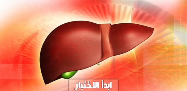 هل تدرك أهمية الكبد بالنسبة لك ؟
