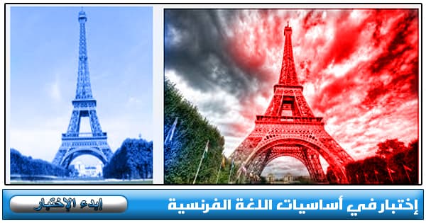 إختبار في أساسيات اللغة الفرنسية 