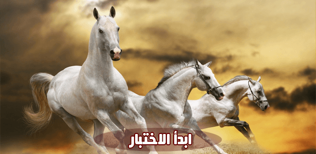 اختبر صحة معلوماتك عن الخيول؟