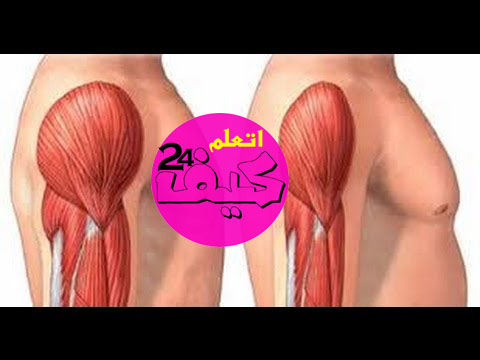 كيفية بناء العضلات