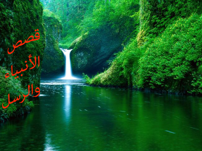 قصة سيدنا صالح عليه السلام وفضائله